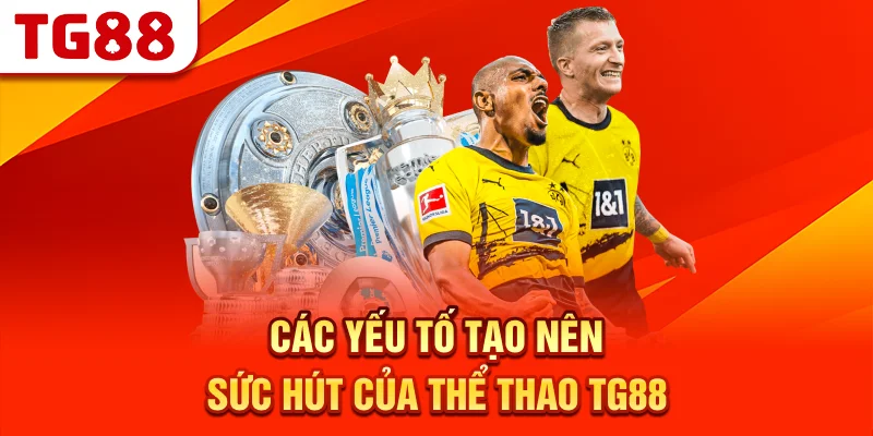 Các Yếu Tố Tạo Nên Sức Hút Của Thể Thao TG88
