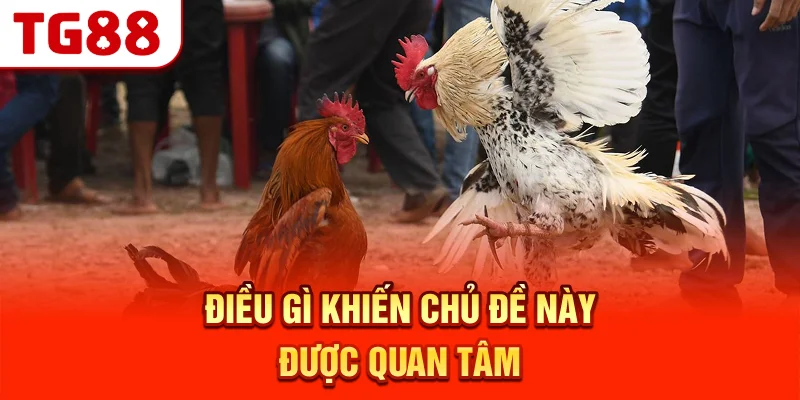 Điều Gì Khiến Chủ Đề Này Được Quan Tâm?