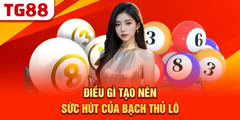Điều Gì Tạo Nên Sức Hút Của Bạch Thủ Lô?