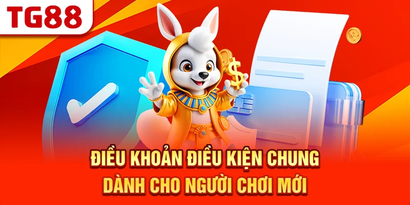 Điều Khoản Điều Kiện Chung Dành Cho Người Chơi Mới