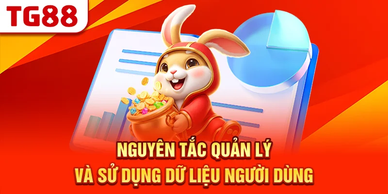 Nguyên Tắc Quản Lý Và Sử Dụng Dữ Liệu Người Dùng