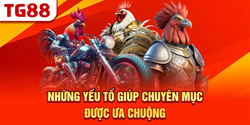 Những Yếu Tố Giúp Chuyên Mục Được Ưa Chuộng