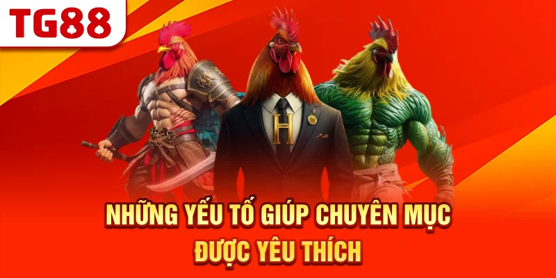 Những Yếu Tố Giúp Chuyên Mục Được Yêu Thích