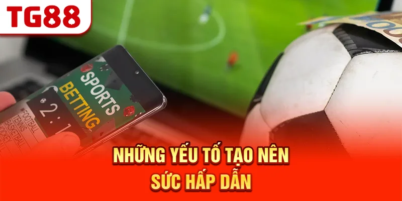 Những Yếu Tố Tạo Nên Sức Hấp Dẫn