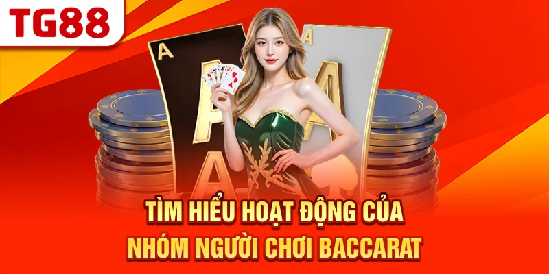 Tìm Hiểu Hoạt Động Của Nhóm Người Chơi Baccarat