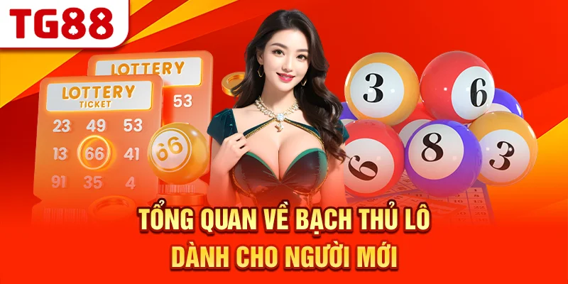Tổng Quan Về Bạch Thủ Lô Dành Cho Người Mới