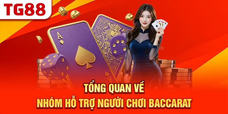 Tổng Quan Về Nhóm Hỗ Trợ Người Chơi Baccarat