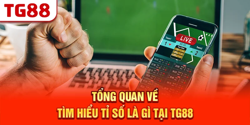 Tổng Quan Về Tìm Hiểu Tỉ Số Là Gì Tại TG88